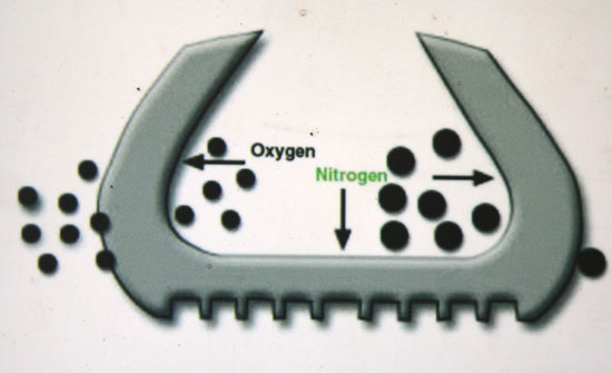 Phân tử Ni-tơ lớn hơn nên khó bị thẩm thấu qua thành lốp Phân tử Ni-tơ lớn hơn nên khó bị thẩm thấu qua thành lốp